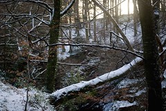 Edzell in Winter