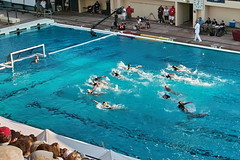 Water Polo at Stanford