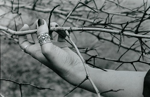 thorns, black and white photo by Tiffany Gholar