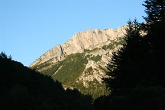 Pirineos / Pyrenees (Navarra, en mayoria/mainly)