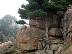 南韓雪嶽山國立公園Gwon Geunseong山山頂（照片由Manuele Zunelli拍攝）
