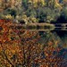 _MG_0985-autun-leaves-mccleese-lake-reflection