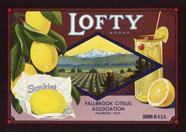 Lofty Brand: Fallbrook Citrus Association, Fallbrook, Calif., grown in U.S.A.