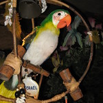 Michael from the Tiki Room