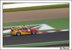Porsche Carrera Cup 2008