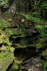 How Stean Gorge (Yorkshire UK)
