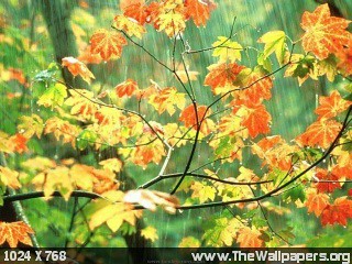 320_Nature_Wallpapers-010