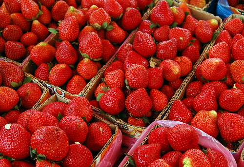 Strawberries (La Trinidad, Benguet) by ~MVI~ (goes mirror-less!)