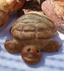 Turtle Bread!