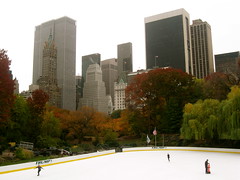 NYC: Central Park in Autumn 2008