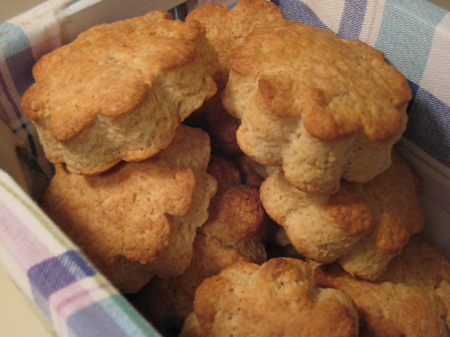 Pecan Sour Cream Biscuits (minus the pecans)