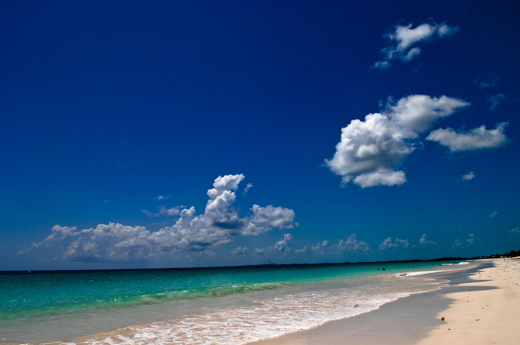 Bahamas / Harbour Island - Pink Sand beach