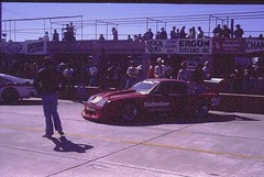 1981 12 Hours of Sebring