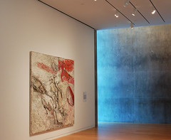 modern art museum ~ Fort Worth