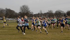 Midland Counties Cross-country Championships 2009