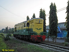 Yellow-Green Lokomotive