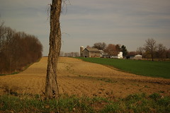 Brown Farm