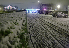 Snow, February 2009