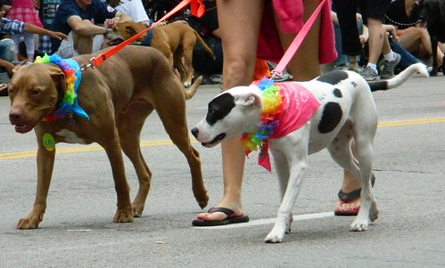 Minnesota Twin Cities Pride June 2011 – Doggies
