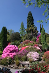Leonardslee Gardens