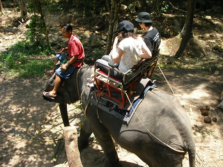 elephant trekking