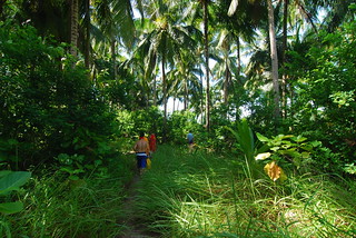 Jungle trekking the forest