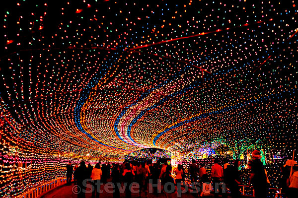 Trail of Lights, Austin | Flickr - Photo Sharing!