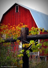 Barns, Farms & Rural Shots