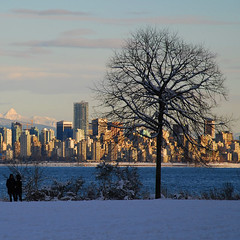 Vancouver in the Snow 2008