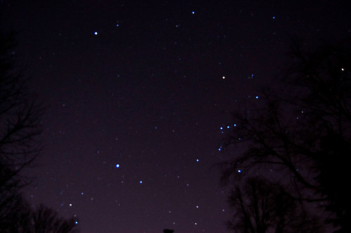 night sky looking towards Orion