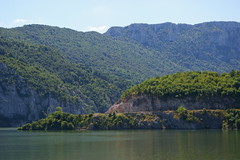 羅馬尼亞多瑙河附近的原始森林。(ioanap3攝)