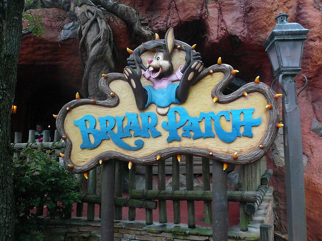 Walt Disney Briar Patch