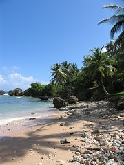 Barbados 2005