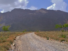 Hazarganji-Chiltan National Park, Balochistan, Pakistan - November 2004
