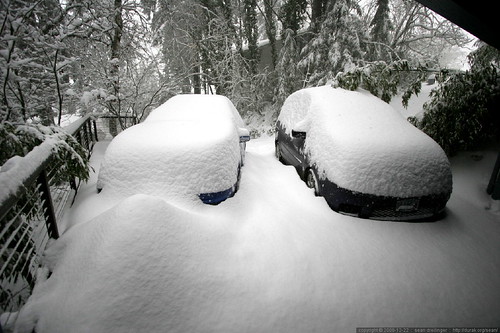 snowed-in driveway - _MG_3896