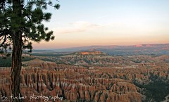 bryce canyon, zion national parks