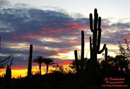 Phoenix, Sonoran desert at sunset by PhotosToArtByMike
