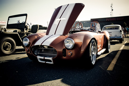 Shelby Cobra by E&C Photos