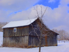 Old Barns Of Washington County Ohio