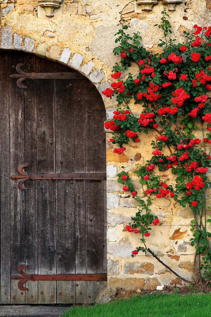 Door and Roses