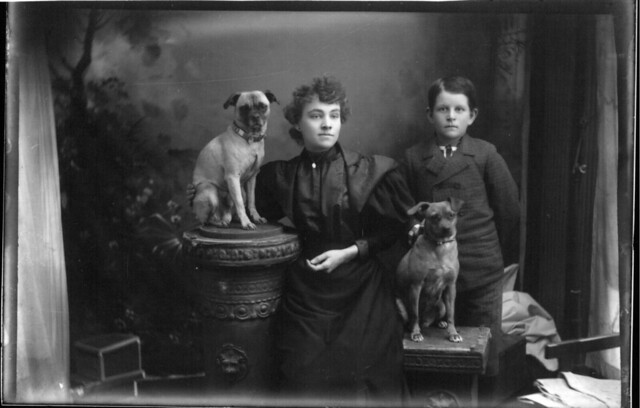 Portrait photograph of woman, boy and two dogs n.d.