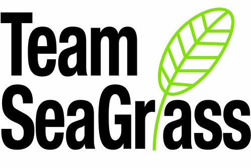 TeamSeagrass logo