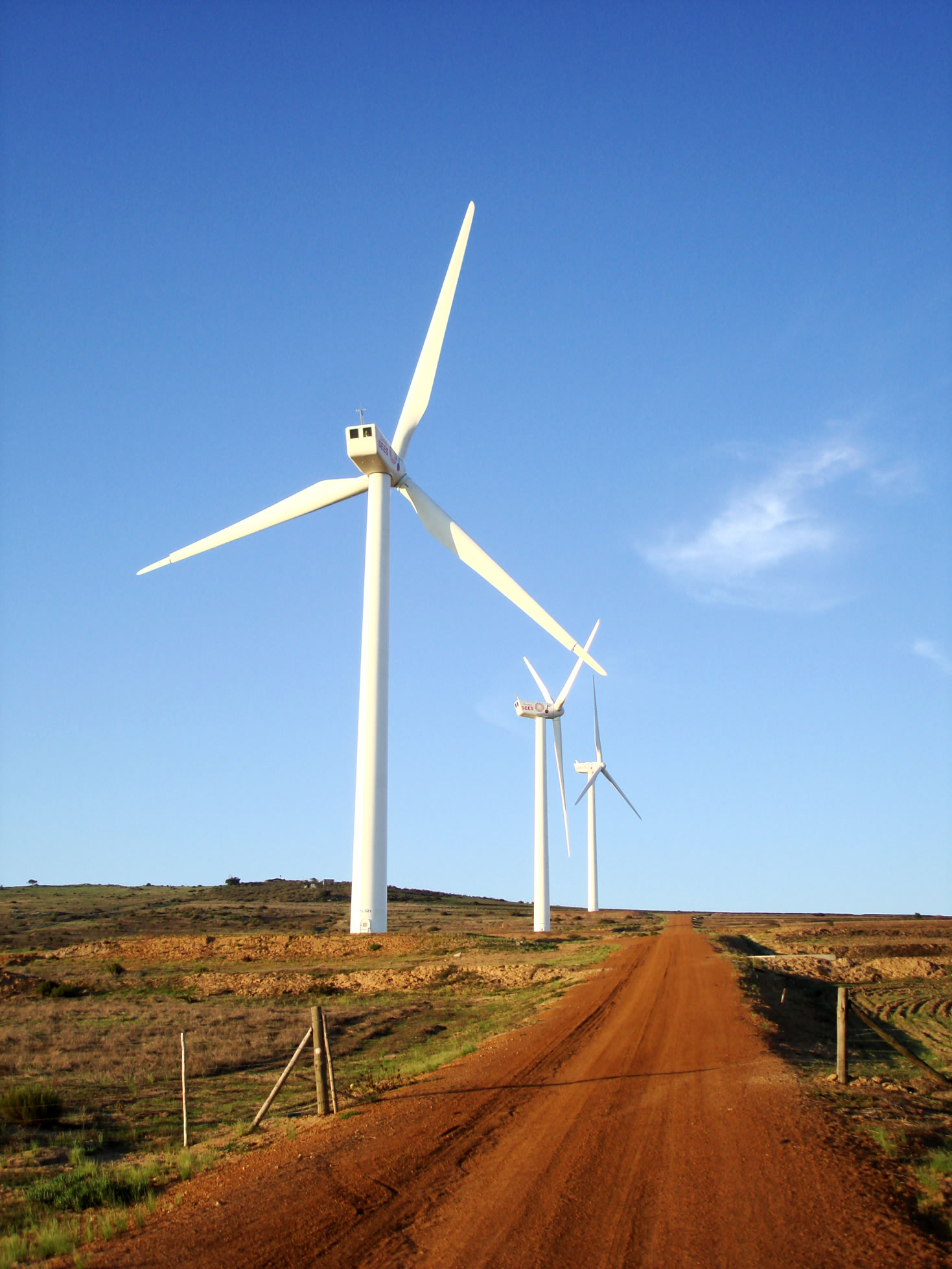  A wind farm in Cape Town, South Africa