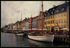 Danimarca 2008