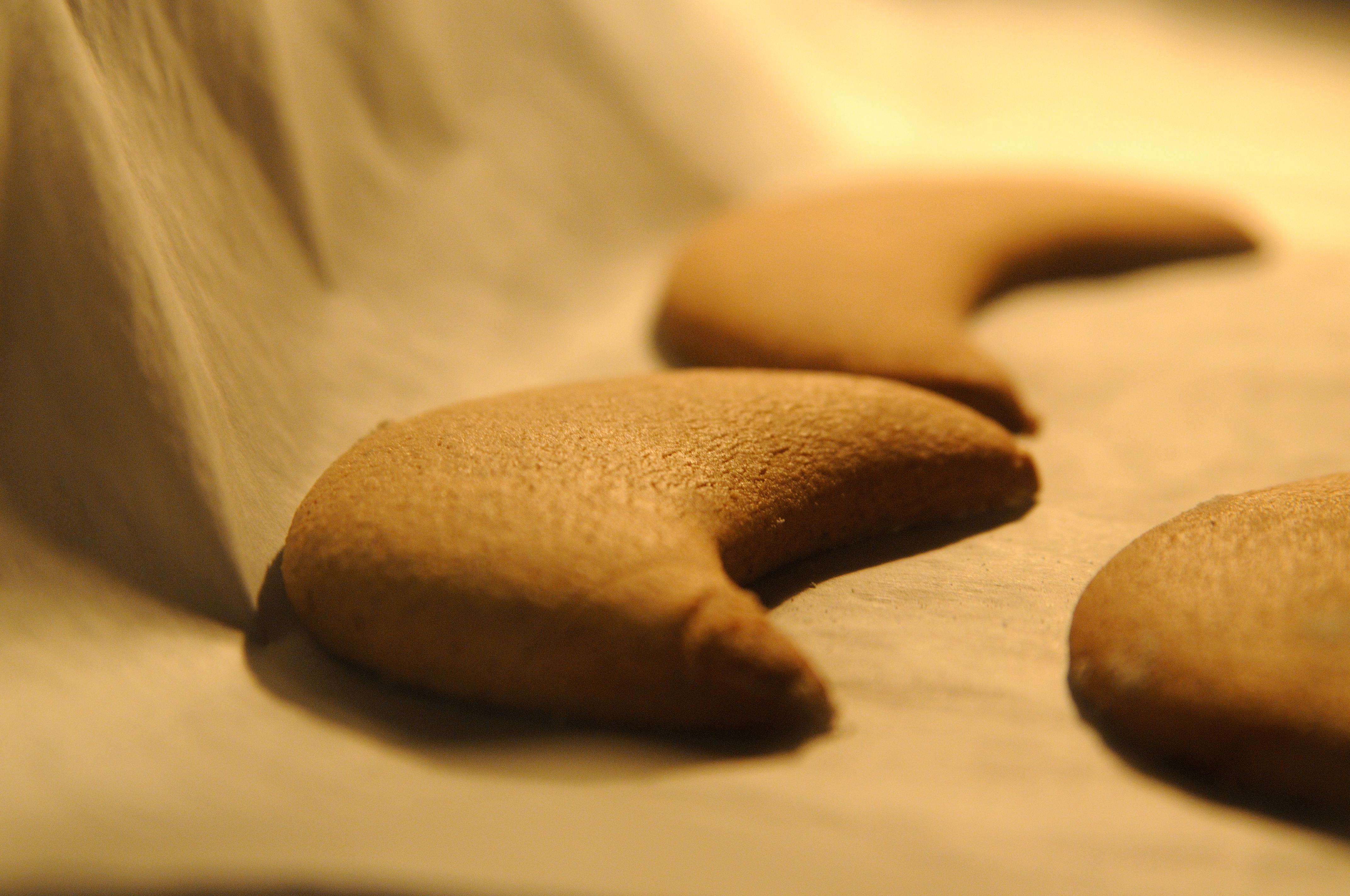 Gingerbread cookies, beta version