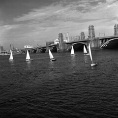 sailboats on the charles, 1957 (1957-03)