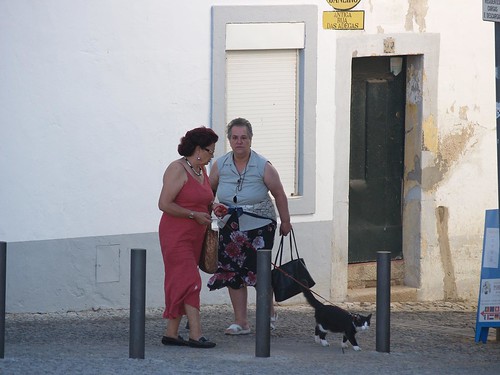 Mujer paseando gato