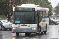 Duffy's City Buses