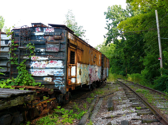 Old Railroad Cars | Old abandoned railroad cars near the Ohi 