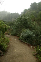 UC Berkeley Botanic Garden